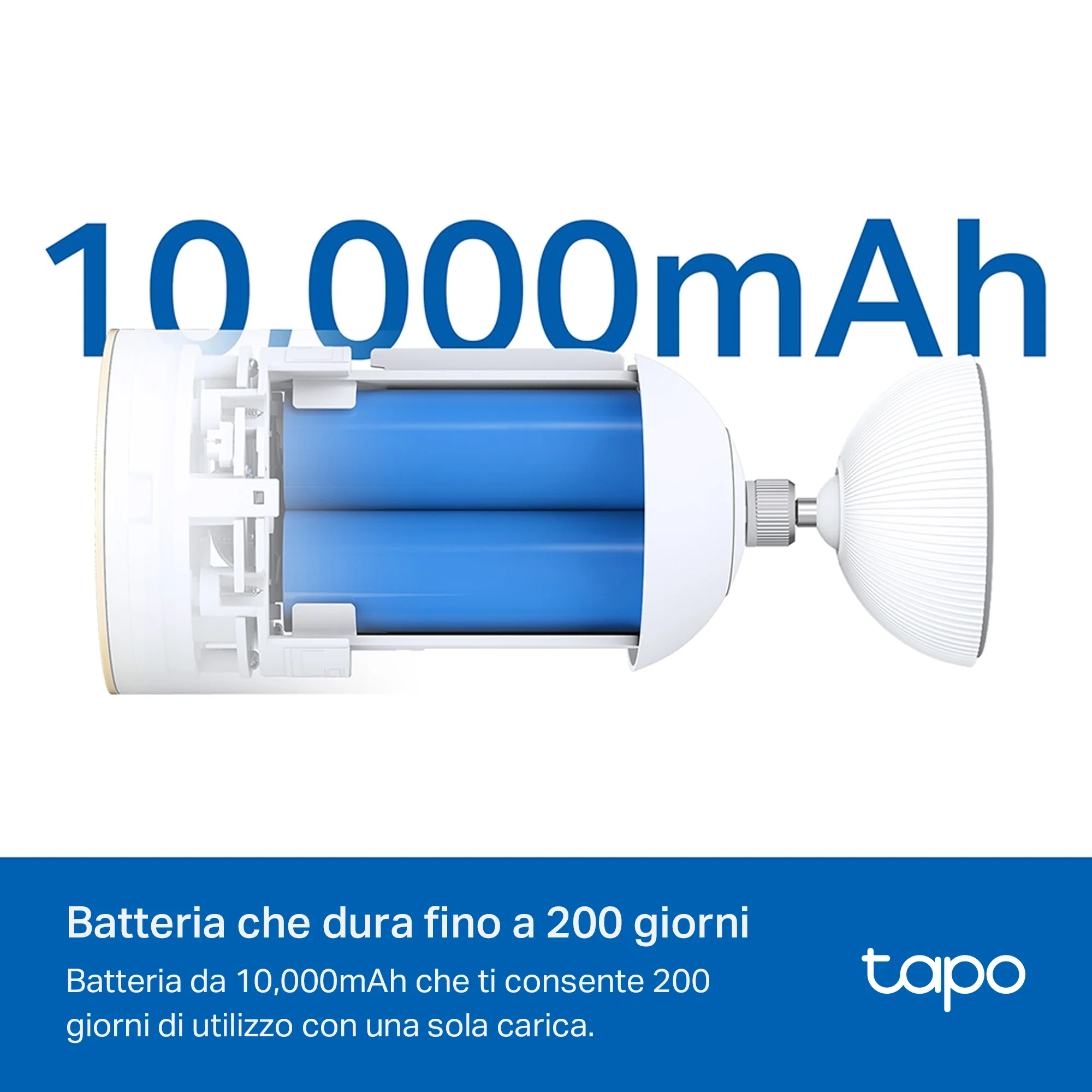 Miniatura 10